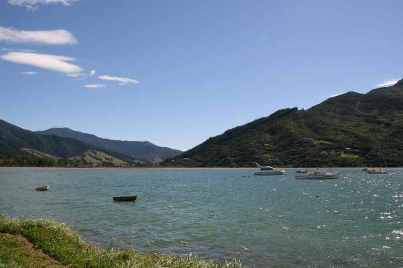 Nieuw-Zeeland 2011 - 0941